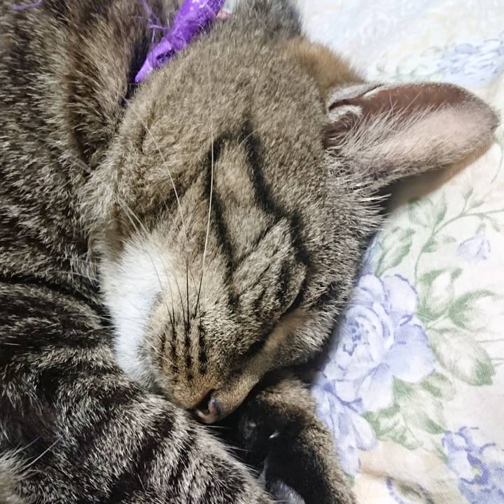 46510e04 b5ea 4d63 a1db efd8057e9641 1653827880104