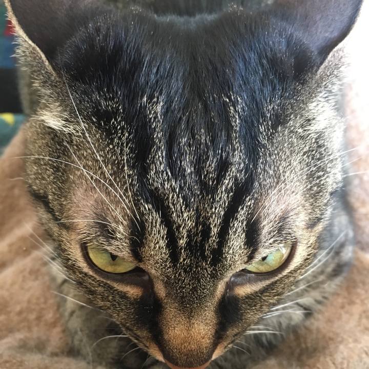 4651386d 1bf6 4165 ad67 2d55c5b0f1a2 1547434767469