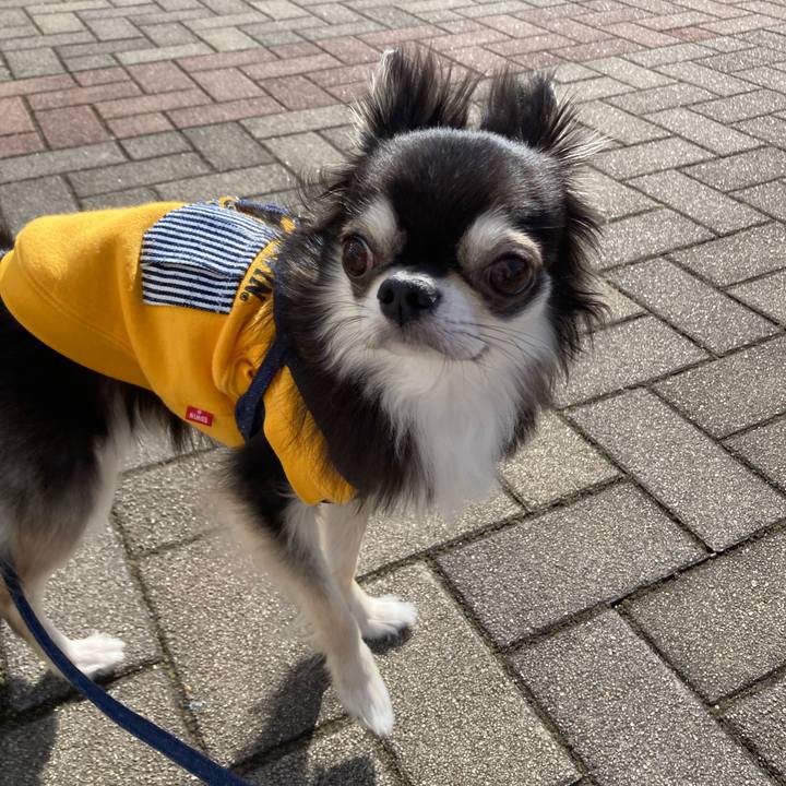 465147c8 177f 47ae 99df 6a19478051c4 1679202688109