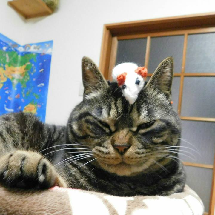 46517f80 4f5c 4d9e ab27 5fa98e6d9178 1520271887532