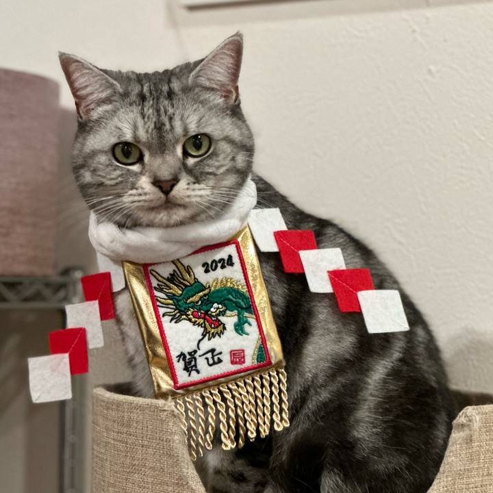 46518fba e3c9 46e4 abd2 d2880b237a90 1704771505484