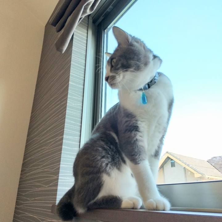 4651b243 ae5f 4a3e 8370 4b10141f739e 1615674004964