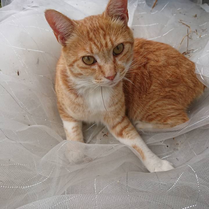 4652025c 084a 471c 9eb7 c7d07e562bdc 1593311777726