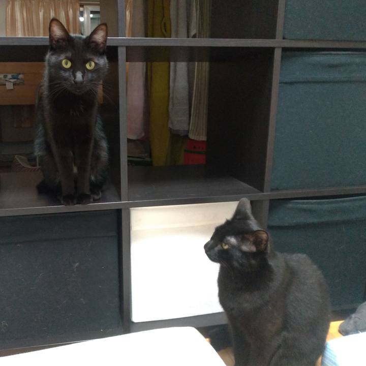 46520709 0fa4 489c 899c 0ed083ec0956 1556287420150