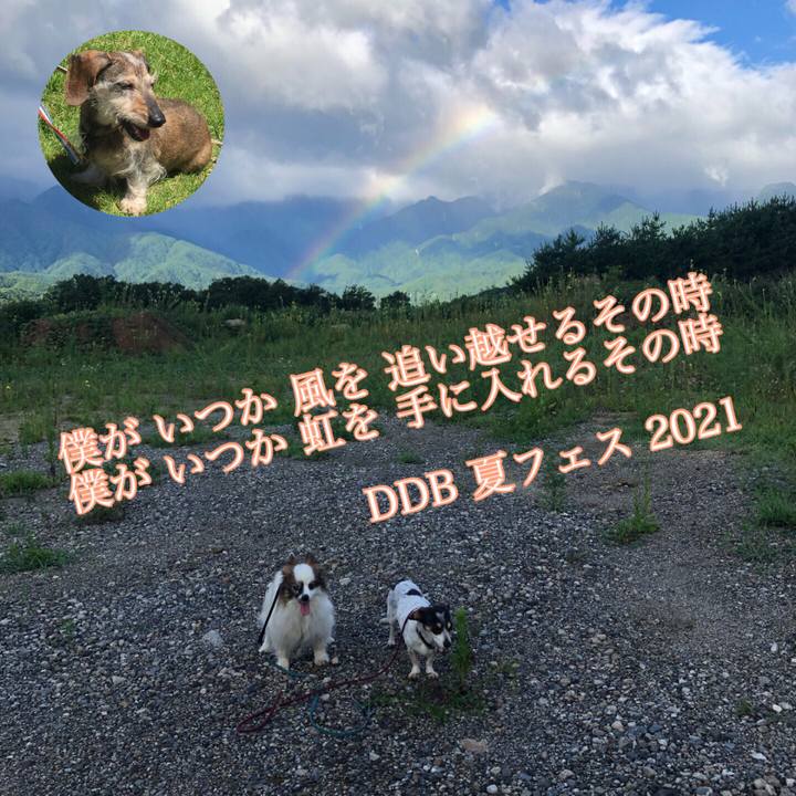 46520875 da7e 48ea 8f7d 1402bf597177 1628945151009