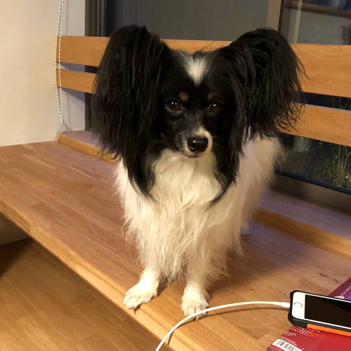 46522e9a 8b7f 422c b8eb 4a5beea4b947 1523612884334