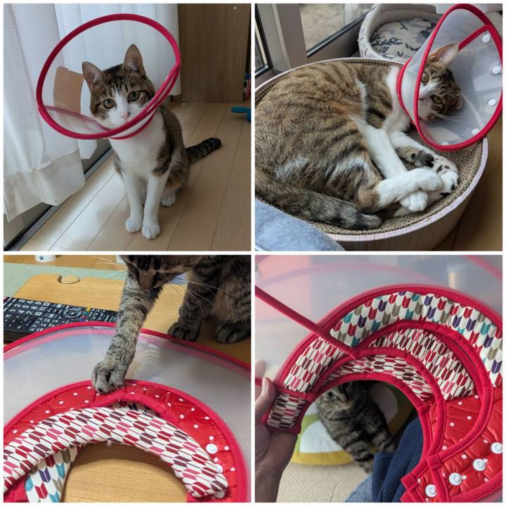 46524aac 2e42 4bea 9339 b8d69c1430eb 1749800677729