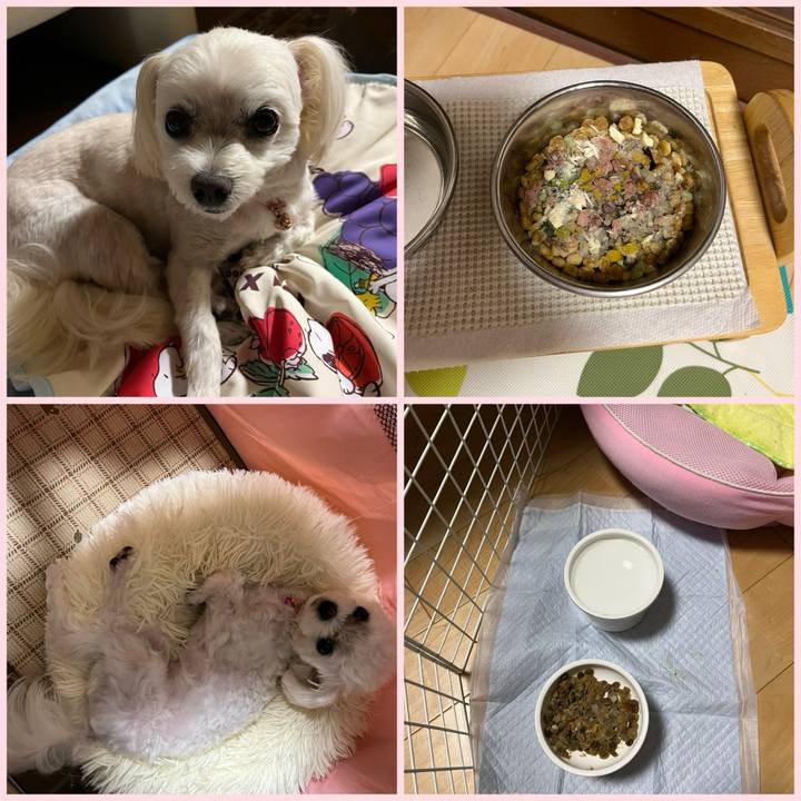 46524f99 9c95 4371 85b3 40686feb95e4 1718535236711