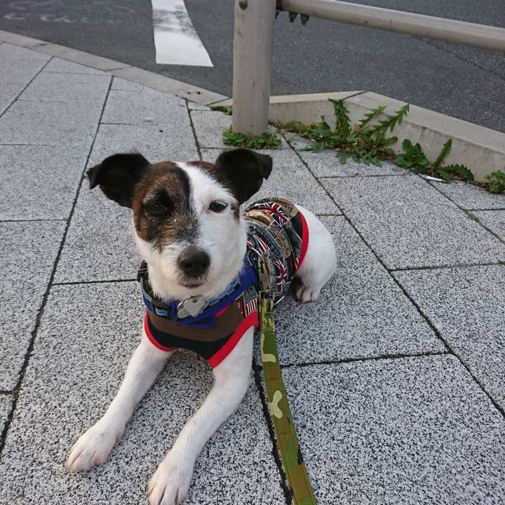 46525e9c cdc3 43e2 9e80 c3547551e155 1521064615731