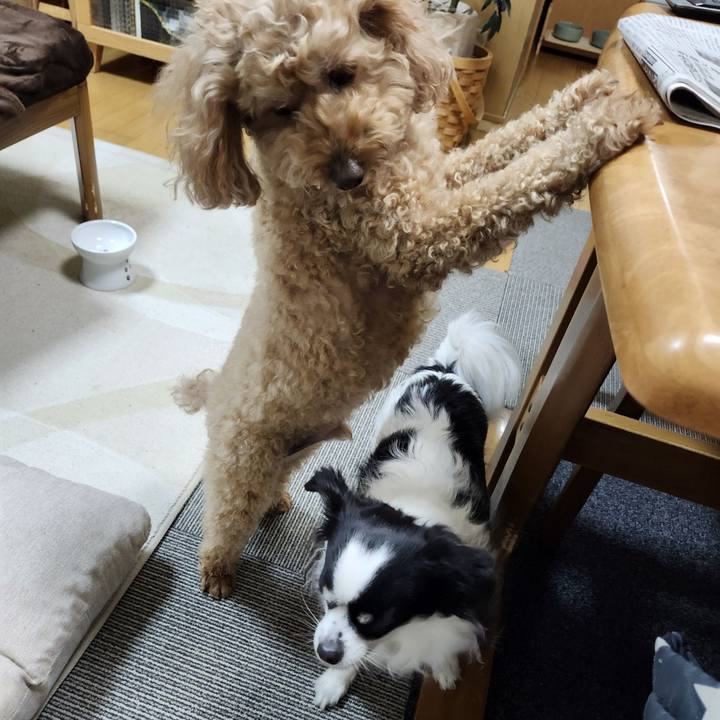 4652a1bb 79ed 4747 aeb5 8e28c48cf705 1772753272872