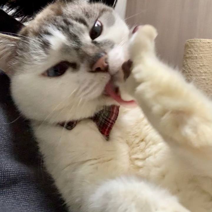 4652b0a6 2e64 417a bb9b 2886345eacf1 1582246586027