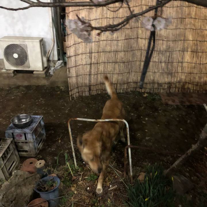 4652cc5d 408a 4ac3 bcf7 a362e6180c28 1552686859907