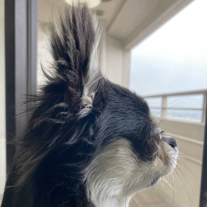 4652d06a ee2c 4a8e 9902 c99e4239659e 1624075250564