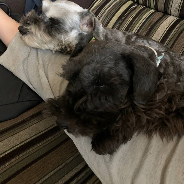 46535042 cd4c 41db 8e22 8845770e0b24 1612846491523