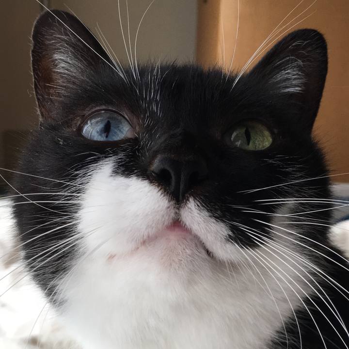 46535e13 9dd6 401b 8e29 a3a1e1da9799 1552140937251