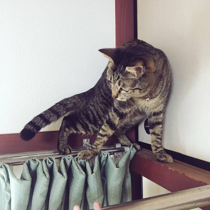 46537bfc 7165 4e37 9413 f835eb1682da 1518830663683