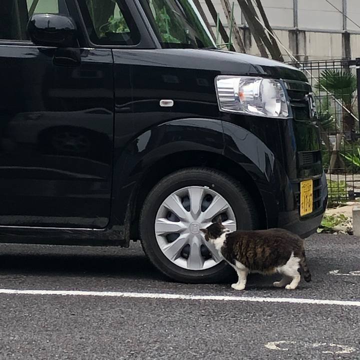 4653e0fc 12e6 4218 a143 4ce66687ded6 1593519522053