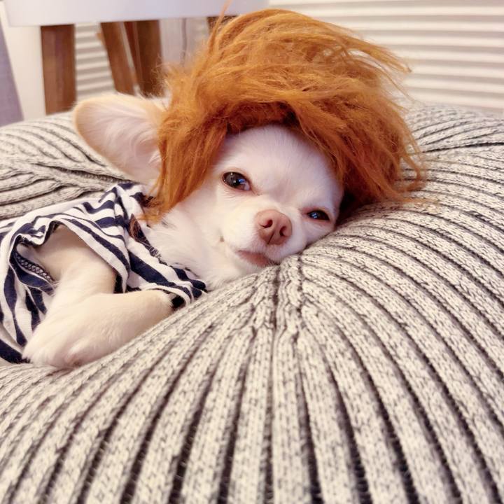 4653e3a8 f41c 4e74 bba9 36bb5bcd3753 1695295575946