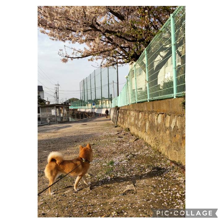 465455a6 d230 419d 9b43 1ef3b41f4575 1712789320175