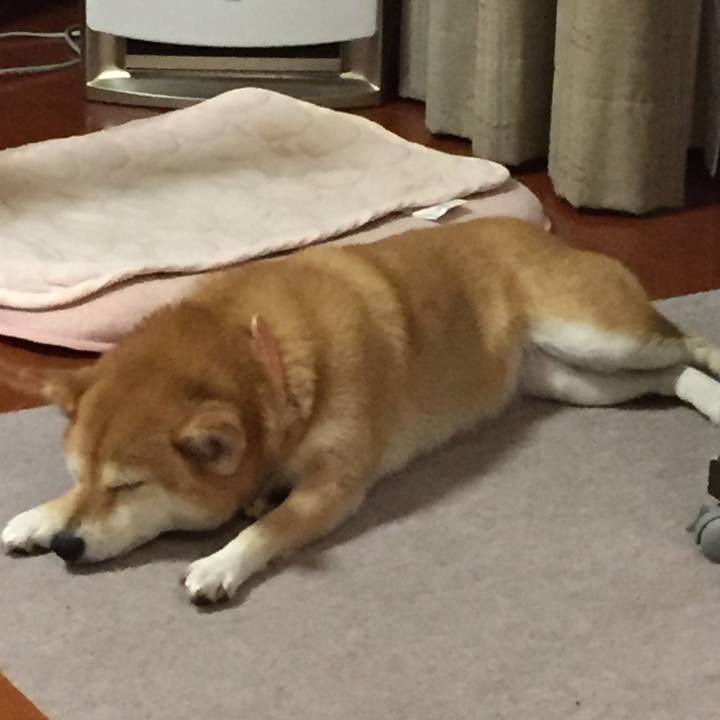 465458e6 37df 4692 86b3 01e78849bdd0 1553264116563