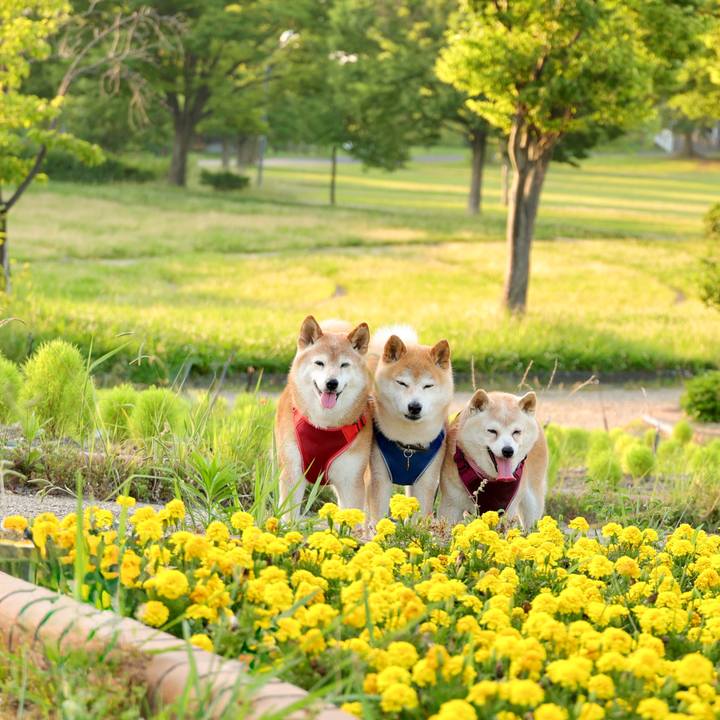 46546ad6 e083 4f64 80f0 4eee498e5b23 1750348909220