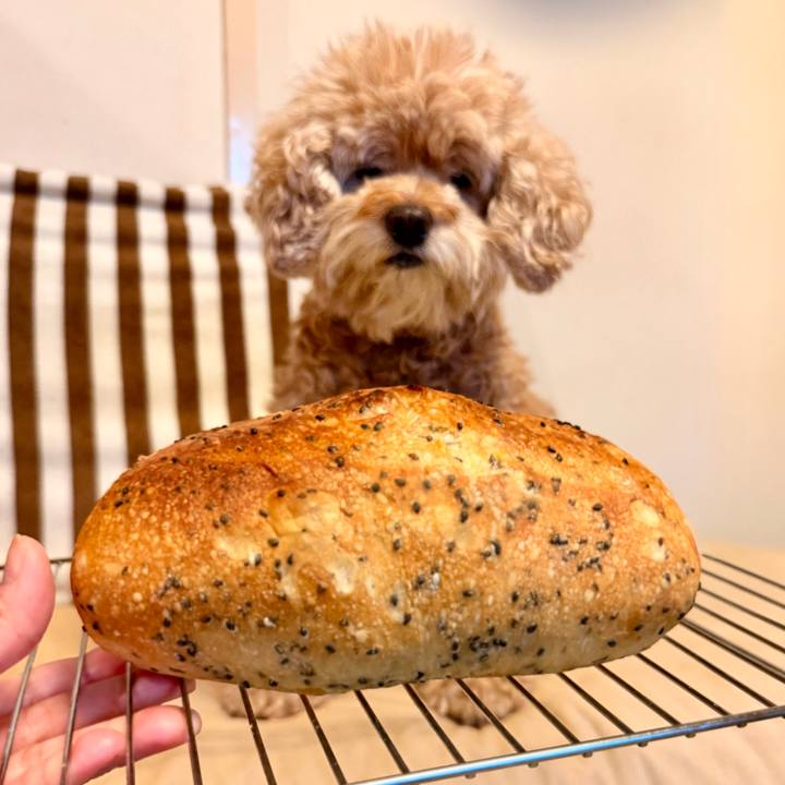 46551b30 cd45 4739 a36e 89f9282b1598 1761271332017