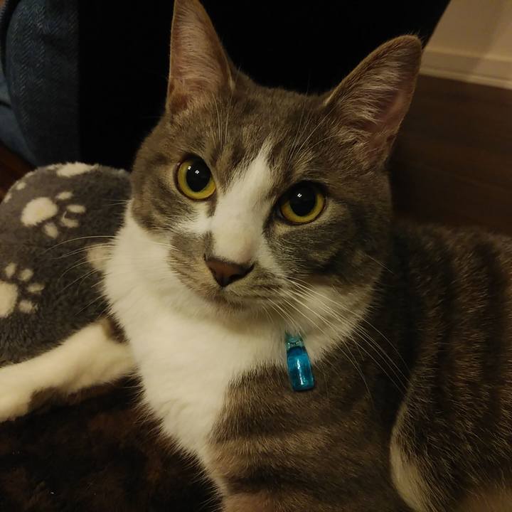 465536a6 6b3b 4916 a303 7a324e9f8a2b 1585927011544