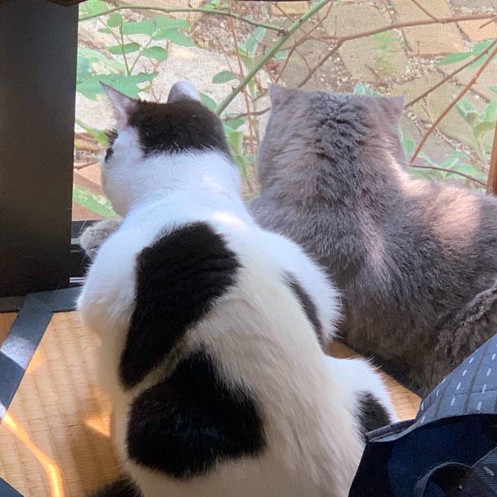 46554210 f8a8 4018 8a3d c76b3d774c5d 1565371206068