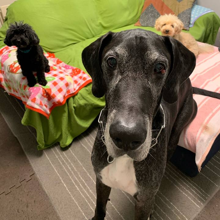 46554b91 65c5 4f53 8e41 01ff1e2f1b73 1594334262791