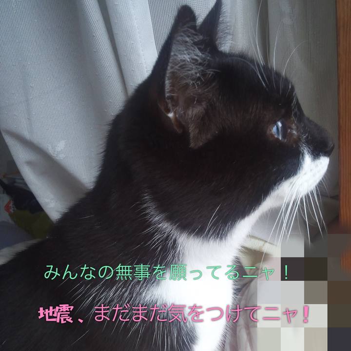 46558244 ad24 4e5f 81d6 4f80d1bdc6b6 1529292921453