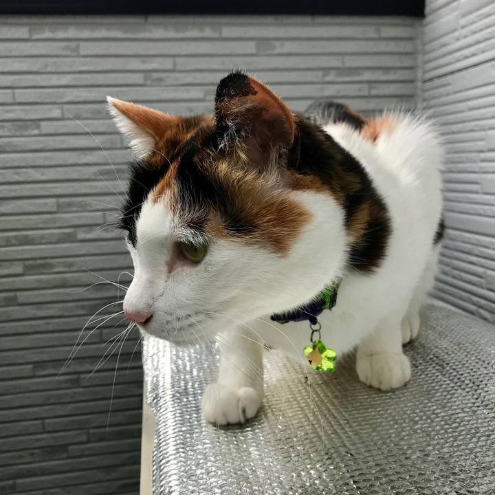 46558910 5ed9 4199 97a2 d9f31476ae5f 1555479263147