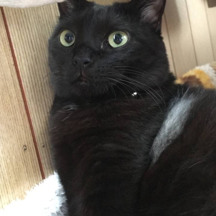 4655a3de b320 488e 890c 1d2768f61b31 1509316805586