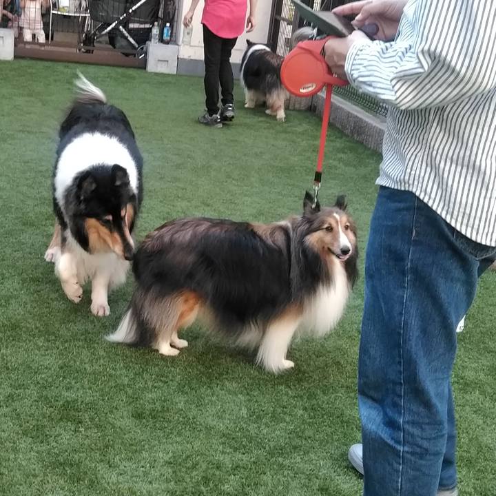 4655c77f b144 4052 b4fd 7576ddd31ddd 1537967661388