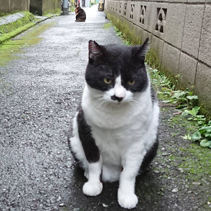 4655dfcb 4c7c 466c af3f b118e017512c 1602369211160