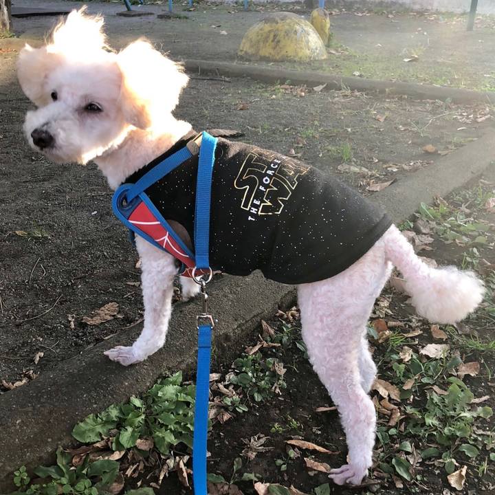 4655e0e3 41eb 46b6 9ae3 57afd53650dd 1541159917880