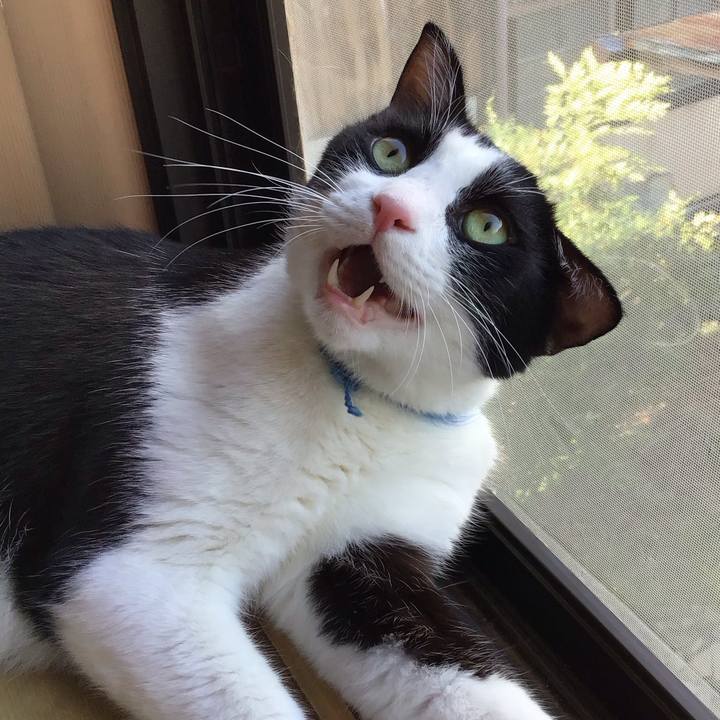 46566a1c 81f0 432b 8105 7ae1163e7e50 1757321260762