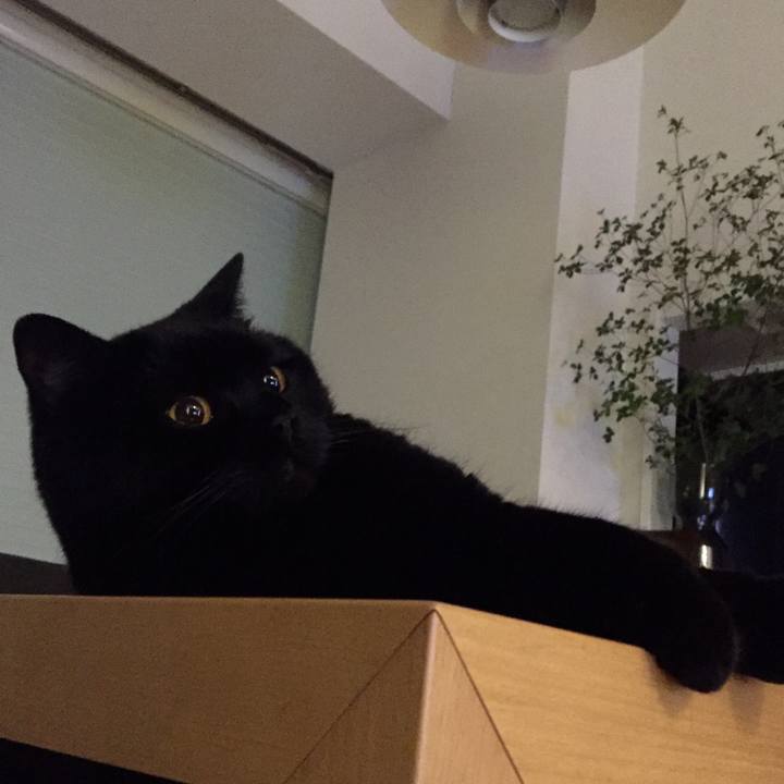 46566f5d 3f16 4007 a596 8e50e7de6617 1593438015649