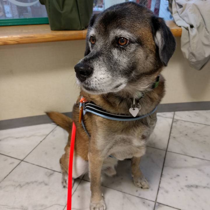 465683d0 c0f8 480a b919 b343bb7c8b53 1511860797517