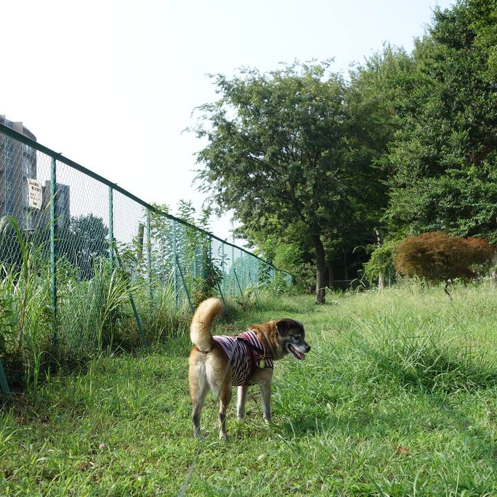 46568919 0bea 4cfa 9fe6 b9a691c6a056 1533342759671