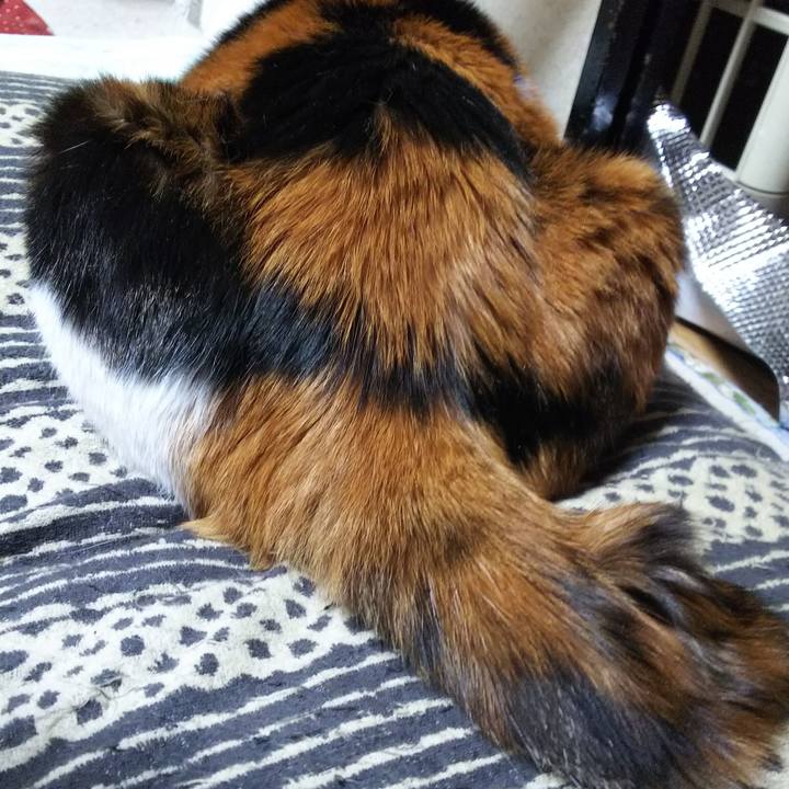 4656c9e6 2ae2 4d15 b193 13efcc4deb47 1553464605761