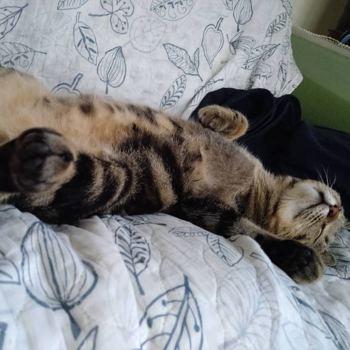 4656d221 8cb8 47c2 8863 16c02ed75697 1699173839642