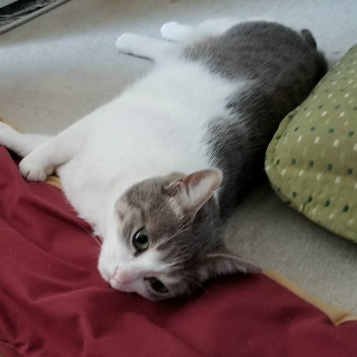 4656d949 5447 439a bd7c 7d50cb031605 1522418070075