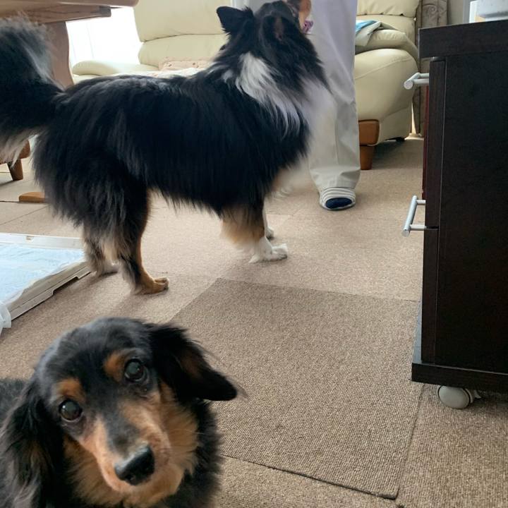 4656f0aa 3427 49f8 8930 22652d9fa482 1591565986262