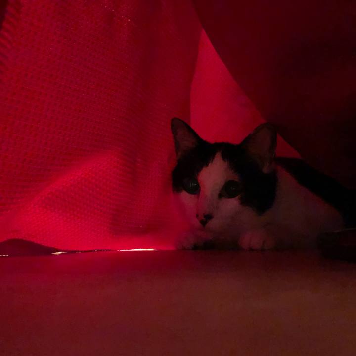 4656ffdc df27 4678 84a3 72d0189dc060 1561132108656