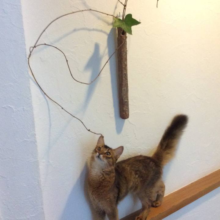 46571ff0 e87b 4c6f 968d 89c7f9532d11 1564563389609