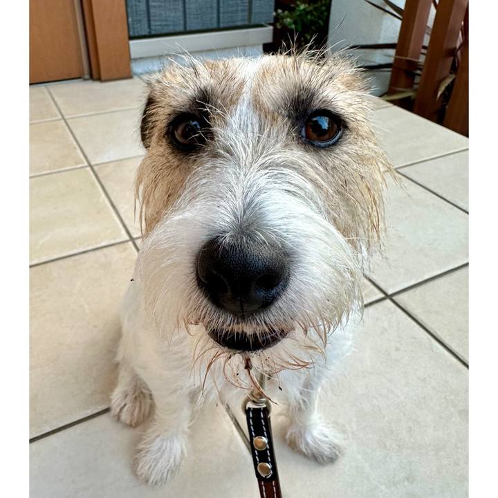 46572710 d134 4aba 85a6 678a67a680ab 1726650589116