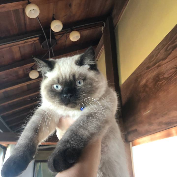 46577575 67a3 45d3 93d4 58219d6d76bd 1590715462043