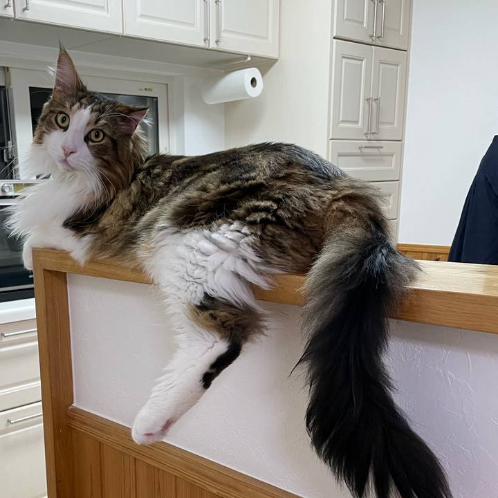 46579410 c5b3 42f9 a651 565203dc2a5d 1671054794971