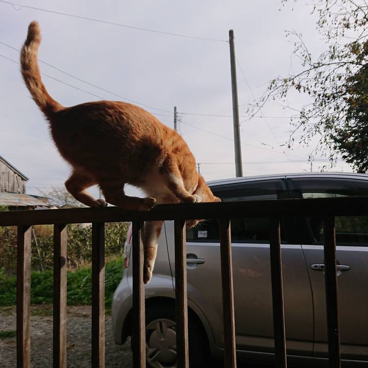 46579d14 edda 492e 83be 42fa6281f419 1572760186144