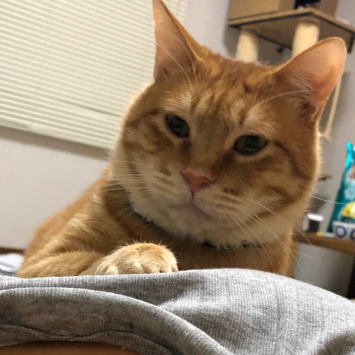 4657bc42 a791 414c 8888 92b33accbb7a 1580561003808